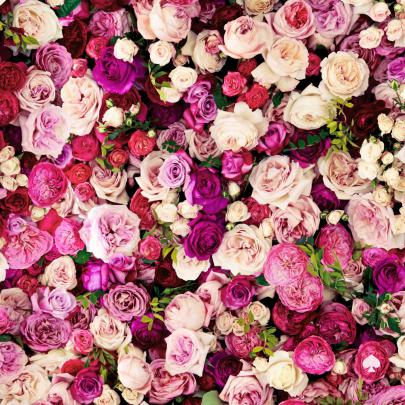 [50+] Kate Spade Wallpaper 