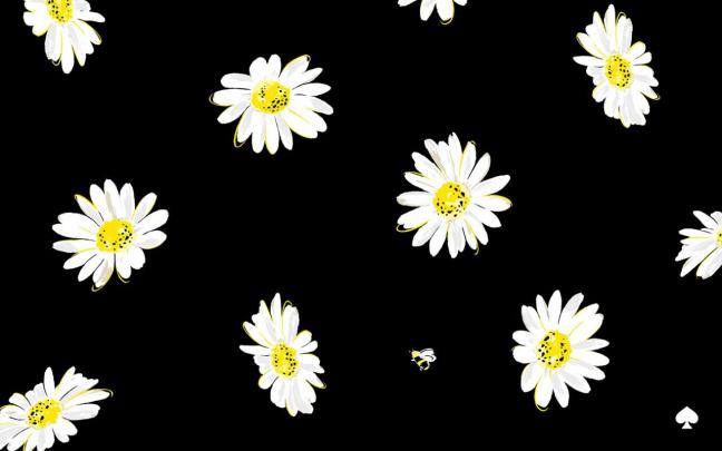 Kate Spade Desktop Wallpapers - Top Free Kate Spade Desktop Backgrounds 