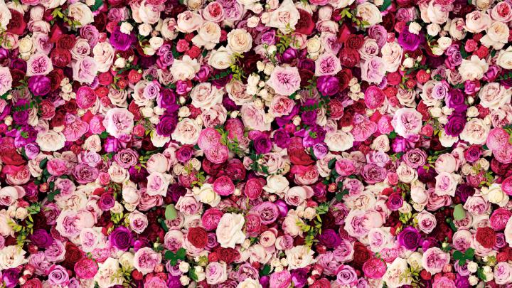 Kate Spade Wallpapers (49+ pictures)