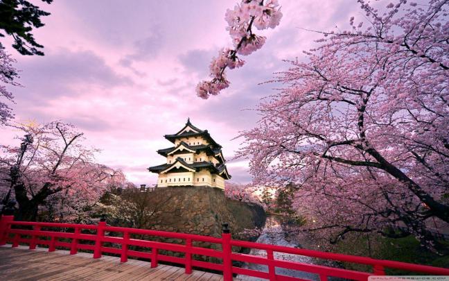 Korea Wallpapers
