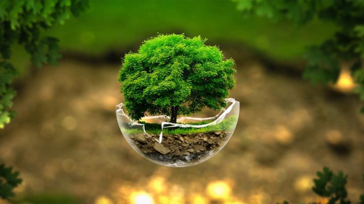 Desktop HD Nature Wallpapers