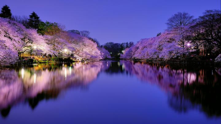fabulous wallpaper - HD Desktop Wallpapers