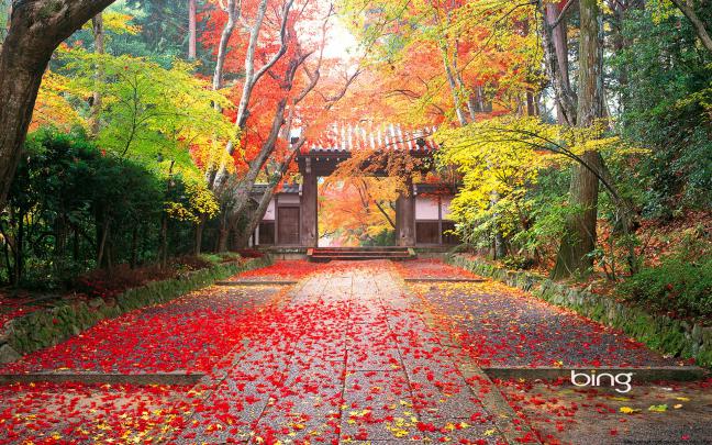 Beautiful Wallpapers For Computer