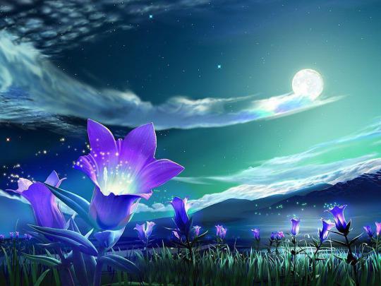 Pretty Wallpapers For Computer
