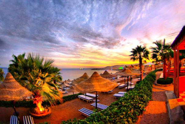 Tropical Computer Backgrounds