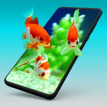 Best Of Live Wallpaper 4k - Gorilla Wallpaper