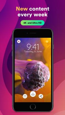 ALIVE: Live Wallpaper 4K Maker App for iPhone - Free Download ALIVE 