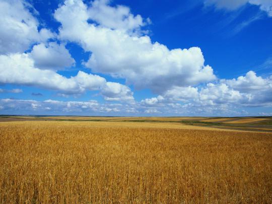 Free Microsoft Desktop Backgrounds