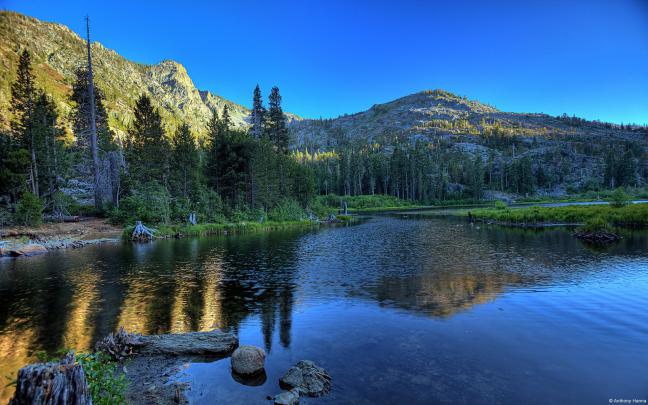 Microsoft Windows Desktop Background -