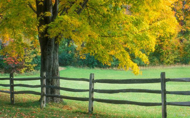 Microsoft Free Screensavers And Wallpapers