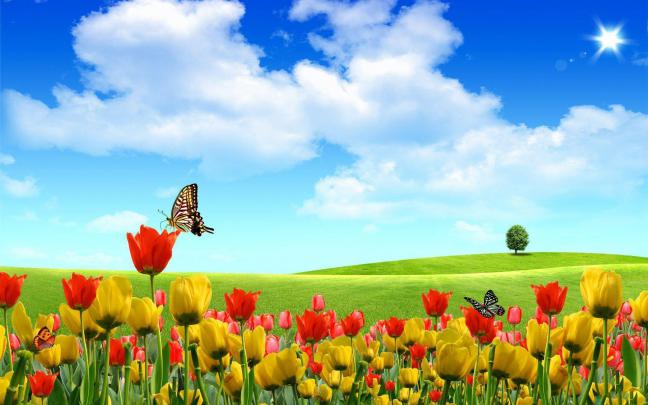 Microsoft Free Screensavers And Wallpapers