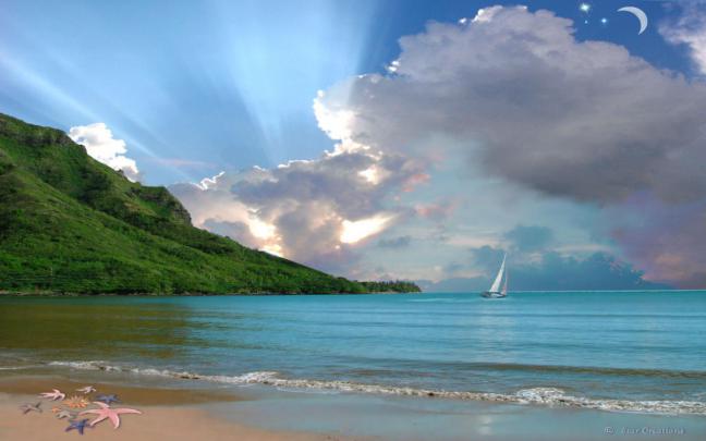 Microsoft Free Screensavers And Wallpapers