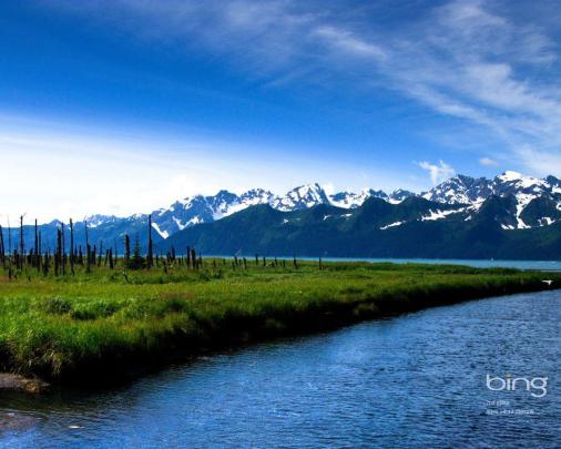 Microsoft Desktop Wallpapers