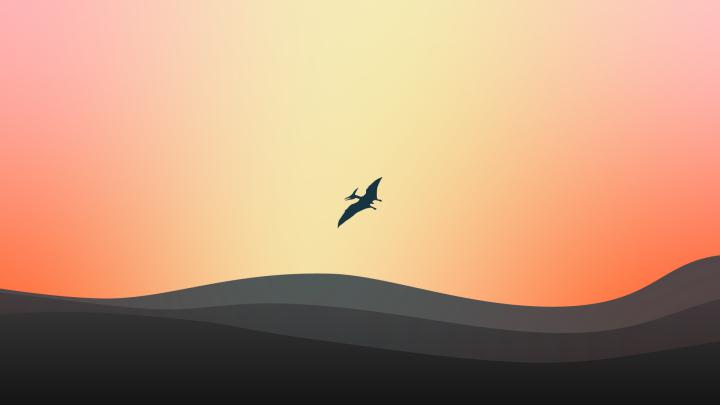 Minimalist wallpaper 4K pterodactyl