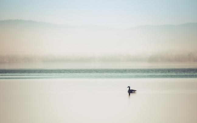 80+ Cool UHD Minimalist Wallpaper 4K - Dmeaon Inc.
