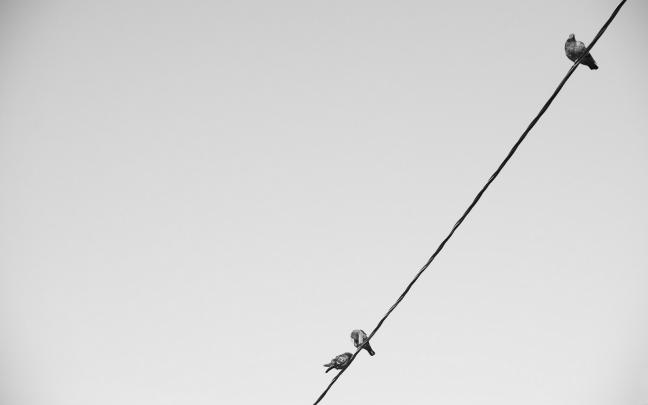 80+ Cool UHD Minimalist Wallpaper 4K - Dmeaon Inc.