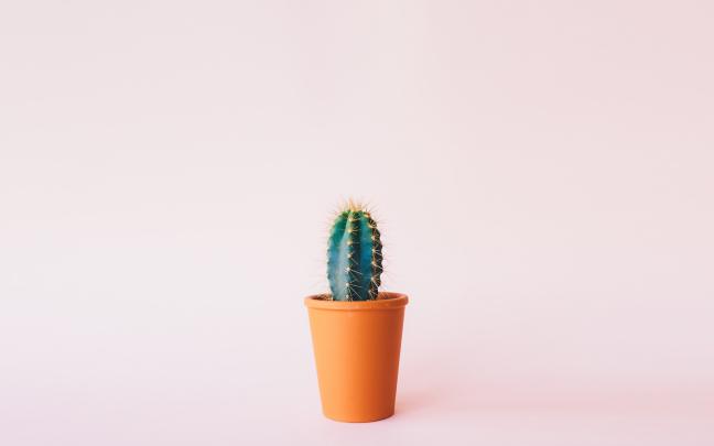 80+ Cool UHD Minimalist Wallpaper 4K - Dmeaon Inc.