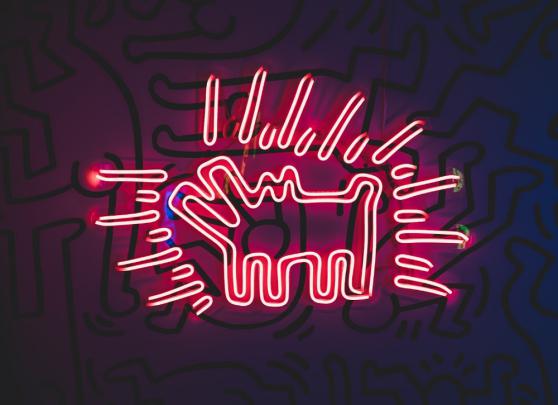 neon wallpaper - 4K | Neon Collection | Laginate | Neon wallpaper, Neon 