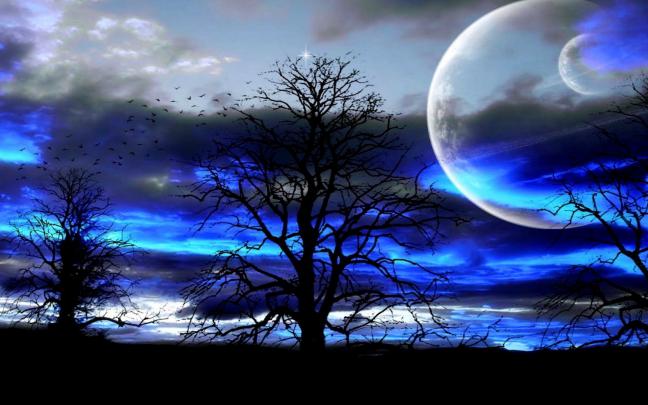 nature, Tree, Landscape, Art, Artwork, Artistic Wallpapers HD \/ Desktop 