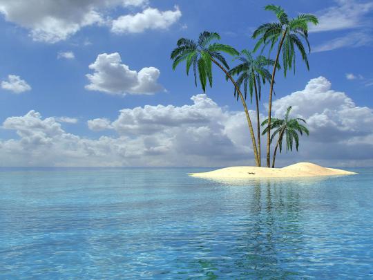 wallpaper: Palm Trees Wallpapers