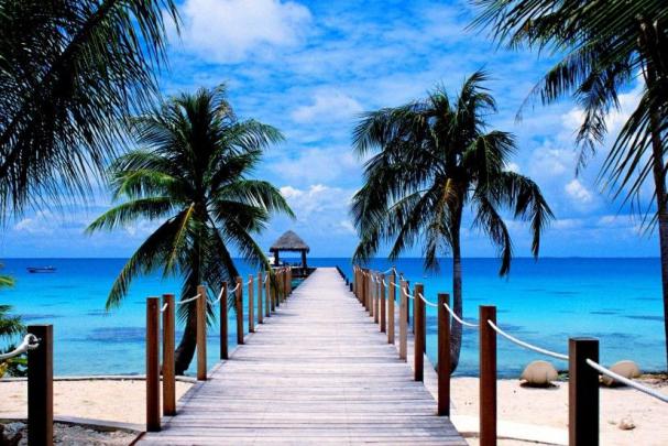 Palm Tree Desktop Wallpaper \u00b7\u2460 