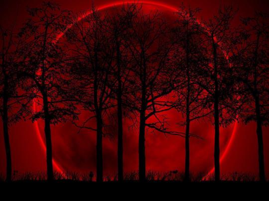Red And Black Wallpapers HD