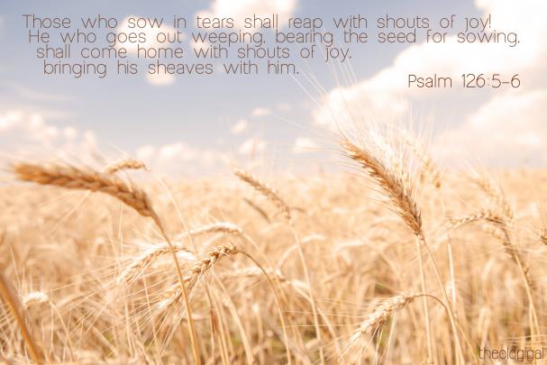 Bible Verse Wallpapers