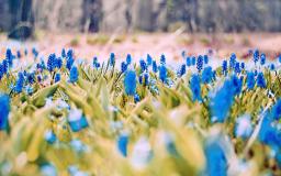 4k Spring Wallpaper