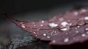 Cool Desktop Wallpapers 4k