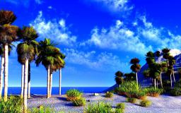 Palm Tree Desktop Wallpaper