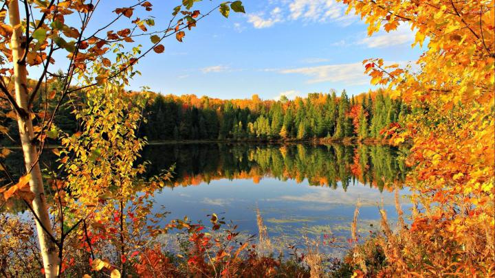 Autumn Wallpaper 1920x1080 (72+ pictures)