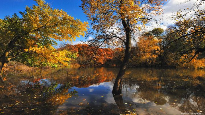 [30+] Autumn Wallpaper 1920x1080 