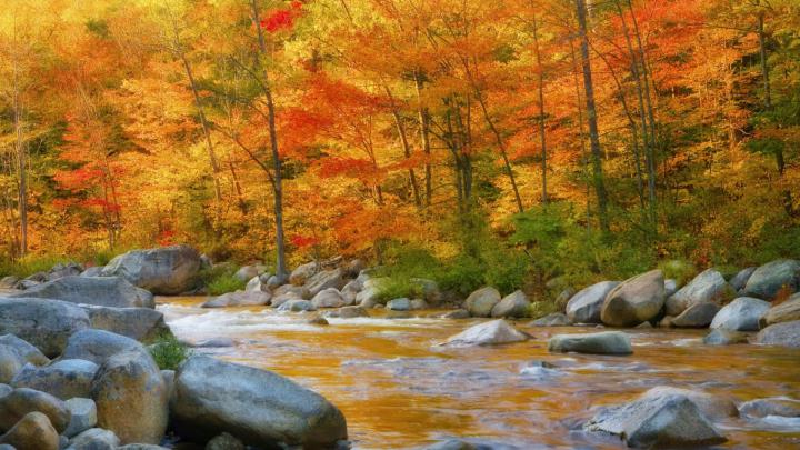 Free download Autumn Wallpaper 1920x1080 Autumn [1920x1080] for your 