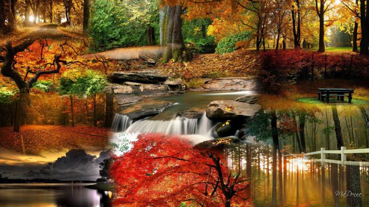 [44+] Country Fall Wallpaper 
