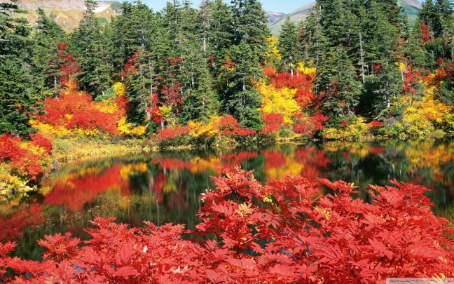Free download Autumn Japan Wallpaper 1920x1080 Autumn Japan [1920x1080 