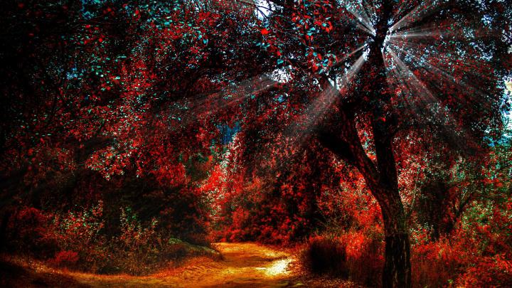 Fall Wallpaper HD 1920x1080 -