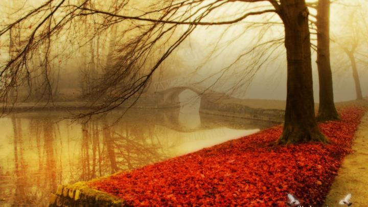 HD 1080p Fall Wallpaper (79+ images)