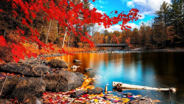 Autumn Wallpaper for Desktop (61+ pictures)