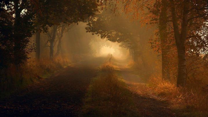 Autumn Wallpapers 1920x1080