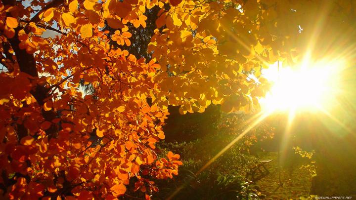 autumn nature pictures |  net mod nature autumn 1920x1080 autumn 