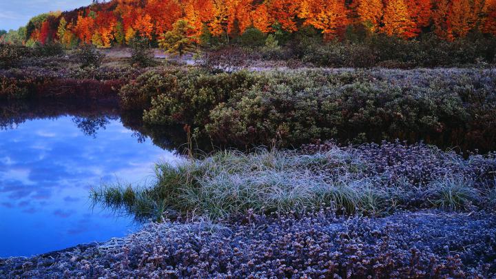 [44+] 1920X1080 Bing Wallpaper Autumn 