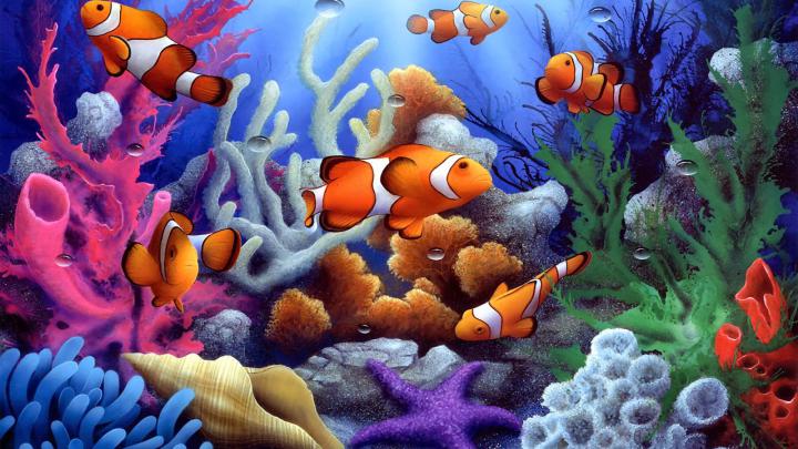 Best 32+ Desktop Backgrounds Fish on HipWallpaper | Pretty Fish 