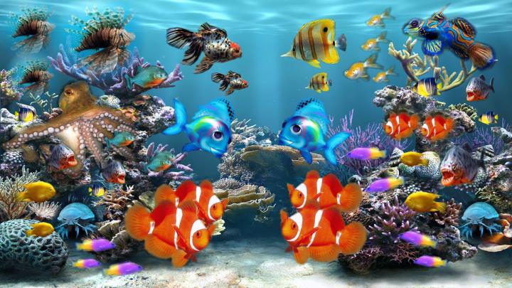 Tropical Aquarium Wallpapers - Top Free Tropical Aquarium Backgrounds 