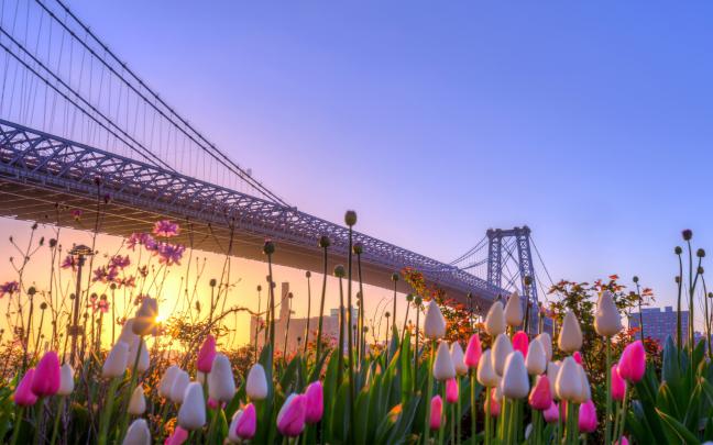 New York Wallpapers