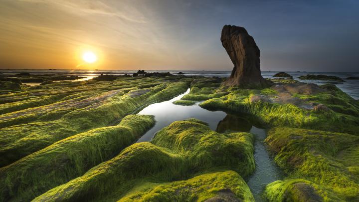Wallpaper : nature, moss, landscape, Sun 3840x2160 - WallpaperManiac 