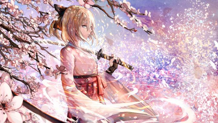 Fate Grand Order Anime Girl With Sword 4k, HD Anime, 4k Wallpapers 