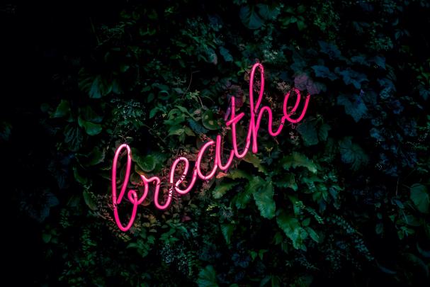 Pink breathe neon sign wallpaper \u2022 Wallpaper For You HD Wallpaper For 