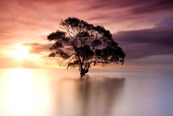 Beach Wallpaper 1920x1080 \u00b7\u2460 