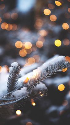 Christmas Tree Aesthetic Wallpapers - Top Free Christmas Tree Aesthetic 