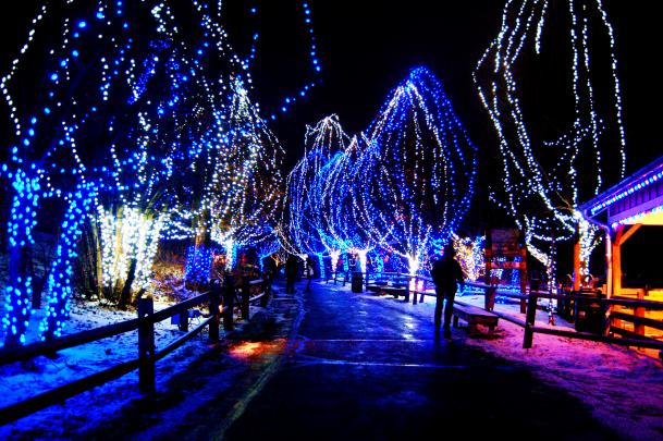 Free HD Christmas Lights Wallpapers